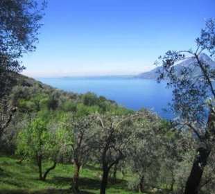 Blick Richtung Südende des Gardasees