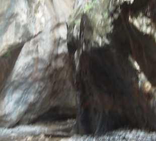 Sarakinas Canyon Kreta Südküste bei Mirtos