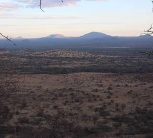Poacher's Lookout
