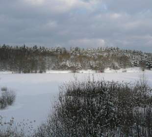 Im Winter