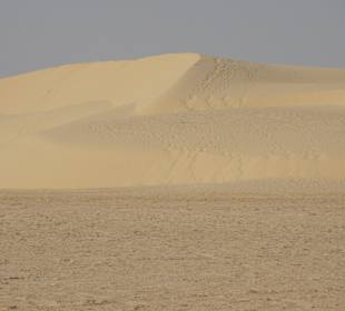 Sahara