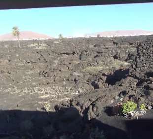 Fundacion Cesar Manrique