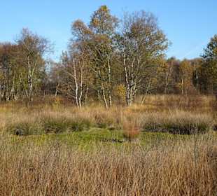 Hochmoorlandschaft um das Ewige Meer