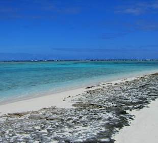 Escursione alle isole