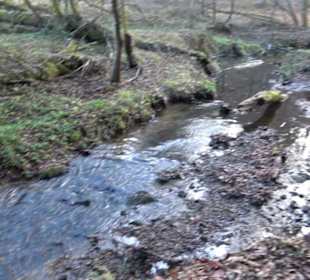 Schönbuch Schaichtal