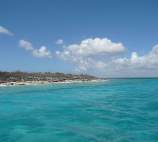 Ausblick auf Catalina