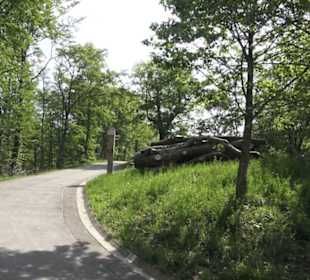 Kreuzweg auf dem Hohenrechberg