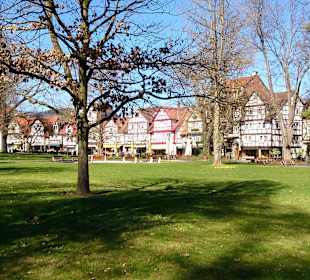 Im Kurpark von Bad Sooden