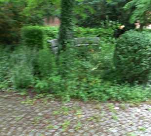 Baumlehrpfad Glacis Park