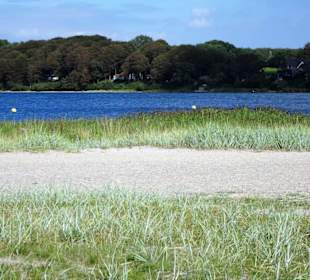 Impressionen vom Strandbad Solitüde
