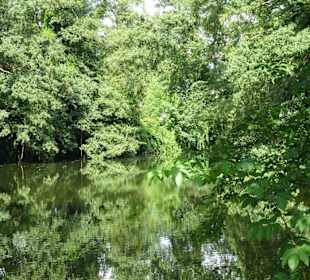 Spaziergang durch die sommerlichen Graftanlagen