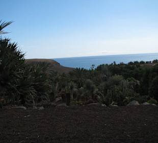 Blick über den botanischen Garten zum Atlantik