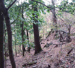 Thale