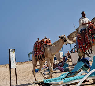Strände El Quseir