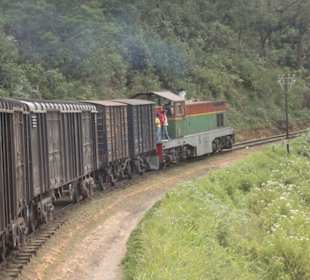 Bergauf hat die Lok ganz schön zu tun