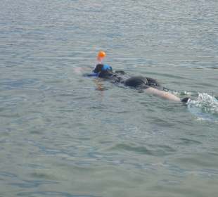 Schnorcheln Marsa Alam