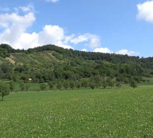 Wanderweg Ammerbucher Gigeleswegle
