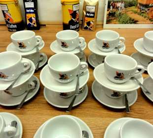 Tassen für die Verkostung am Ende des Seminars