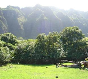 Filmlocation "Jurassic Park"