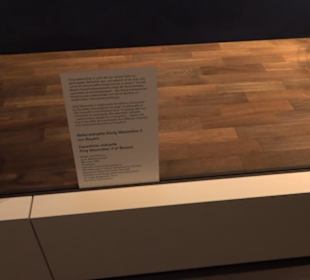 Haus der Bayerischen Geschichte