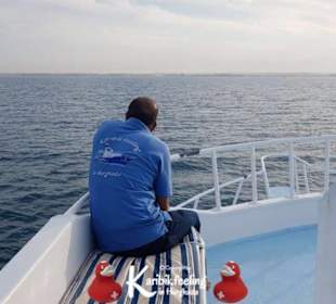 Private Delfin-Tour mit Delfinbeobachtung 16.11.20