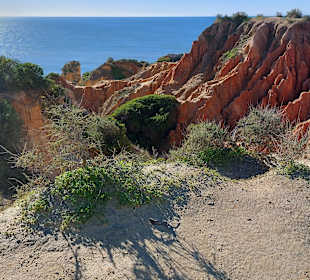 Seven Hanging Valleys Trail 
