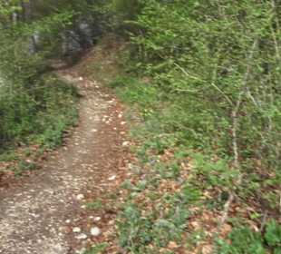 Wanderweg Hochgehswiggert