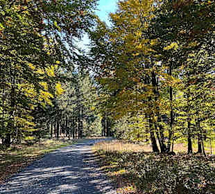 Wandern in Willingen am Ettelsberg