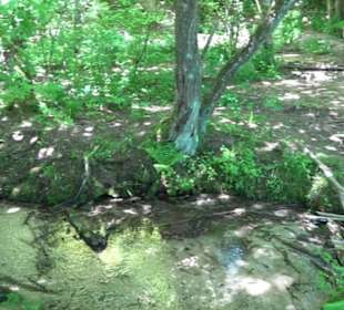 Wiesaztal Gönningen