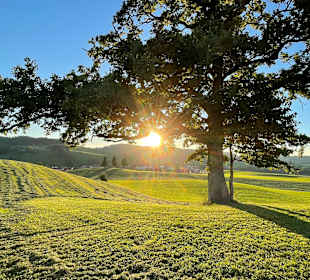 Wandern Oberstaufen