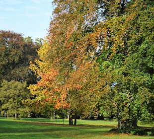 Impressionen vom Rundgang durch den Bürgerpark
