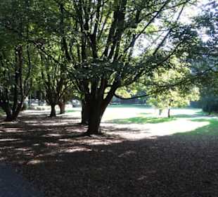 Alter Botanischer Garten