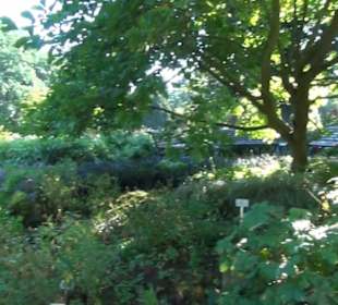 Staudengarten - Berggarten