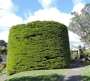 Im Botanischem Garten