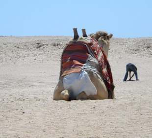 Sharm el Naqa