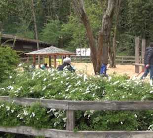 Südamerika Bereich - Vogelhaus