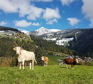 Wandern Lesachtal