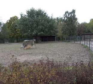 Tierpark 
