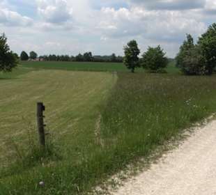 Klimaweg Sonnenalb