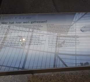 Museum für Naturkunde