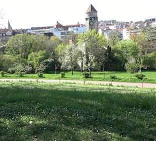 Rosengarten Villa Berg