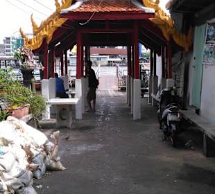 Mit Green Mango das ursprüngliche BKK entdecken