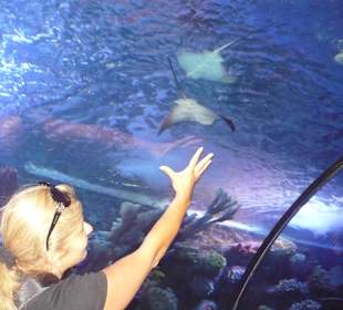 Röhren Aquarium Antalya 