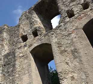Burgruine Niederhaus