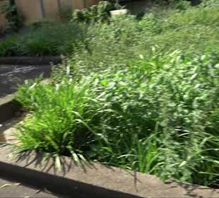 Oberer Schloßgarten