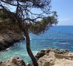 Stadtrundgang Canyamel