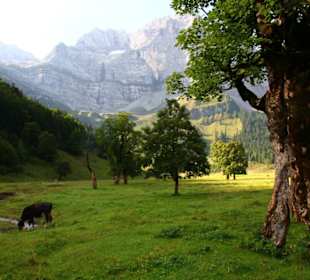 Großer Ahornboden