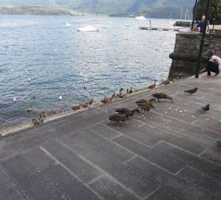 Uferpromenade Gravedona