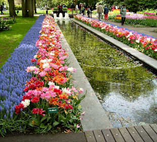 Keukenhof