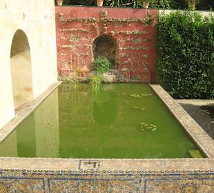 El estanque de Alcázar de Sevilla